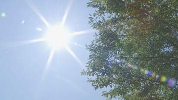 あす29日　沖縄・八重山地方に「熱中症警戒アラート」発表