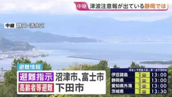 静岡県には午後1時ごろに津波到達の予想　沼津市は市内の海岸・河口付近エリアに警戒レベル4の「避難指示」