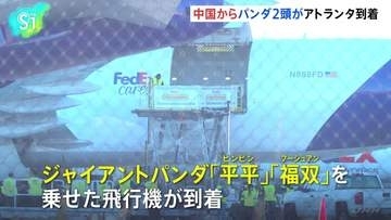 パンダ2頭が米アトランタに到着　中国から貸与　「歴史的な瞬間」動物園が歓迎