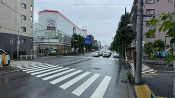 環状八号線で80歳女性がキッチンカーにはねられ死亡　運転手の男（50）を現行犯逮捕　東京・杉並区