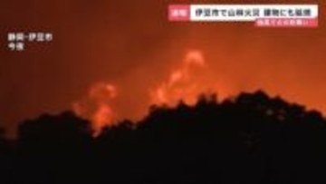 「焦げ臭いなと思ったら炎がバーッと上がった」大阪・梅田の繁華街や静岡・伊豆の山林…全国で火災相次ぐ　全国的に空気乾燥に注意【news23】