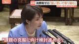 「「実現に強い思い」高市総理　食料品の消費税ゼロ　公約実現を諦めない姿勢示す 「1％案」も浮上する中…」の画像1