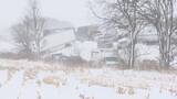 「トラックなど100台超の玉突き事故　冬の嵐に襲われたアメリカ中西部ミシガン州　風速は最大約18m、積雪量30センチの予報」の画像1
