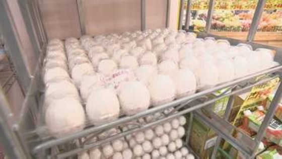 卵の価格が鳥インフル影響などで最高値更新　1パックあたり309円