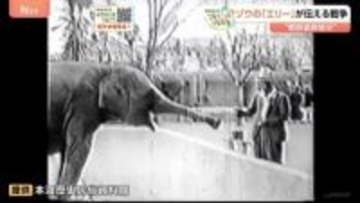 新「映像」発見　80年の時を経てゾウの「エリー」が伝える戦争 “戦時猛獣処分” 絵本「ごめんねメリー」原画も展示　熊本【戦後80年つなぐ、つながる】