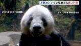 「「お別れ」発表後はじめての週末　上野動物園前に長い列　パンダ「シャオシャオ」と「レイレイ」　予約なしでの観覧はあす（21日）が最終日」の画像1