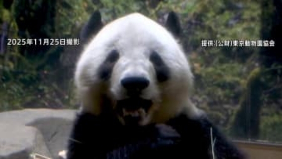 もうすぐ「お別れ」上野の双子パンダ「シャオシャオ」「レイレイ」　返還発表からはじめての週末は早朝から大行列　来週からは事前予約制・その後は抽選制に