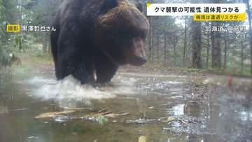 岩手・クマに襲われ男性（85）死亡か…相次ぐ被害 ヒグマをパンチで撃退？恐怖の攻防劇　“梅雨”に向け必要な注意も【news23】