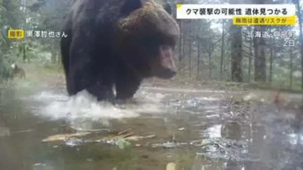 岩手・クマに襲われ男性（85）死亡か…相次ぐ被害 ヒグマをパンチで撃退？恐怖の攻防劇　“梅雨”に向け必要な注意も【news23】