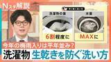 「今年の「梅雨入り」は平年並み？ 生乾きを防ぐには「洗い方」も重要、洗濯物のどこに風を当てると早く乾く？【Nスタ解説】」の画像1