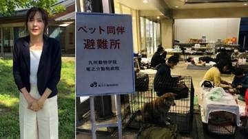 【 熊本地震 】杉本彩　熊本・竜之介動物病院の現状を伝える〝必要な支援が生じた際は行動したい〟家庭の犬猫たちが避難