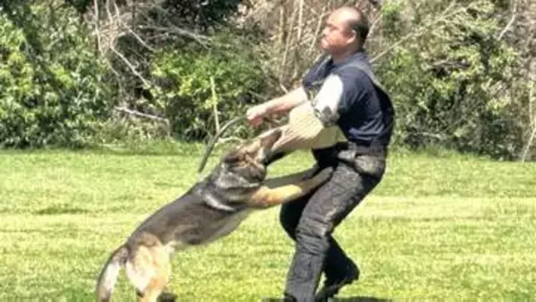 「「嘱託警察犬」の審査会　行方不明者捜索や事件捜査能力競う 埼玉県警」の画像