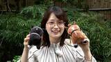 「【競馬・NHKマイルカップ】東大卒・篠原梨菜アナウンサーがデータで予想 ！ 本命はアスクイキゴミ」の画像1