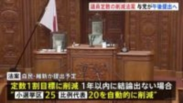 議員定数の削減法案　自民・維新がきょう午後にも提出へ　1割目標に削減 “1年以内に結論でなければ自動削減”条項も