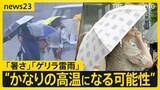 「【猛暑日続出】各地で体温超えの“危険な暑さ”…関東などで激しいゲリラ雷雨に　“蒸し暑い夜”でも東京・浅草は大賑わい「暑さが最高のつまみ」【news23】」の画像1
