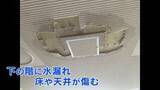 「【熊本地震】夏休み明け授業再開へ宇城市の不知火中学校で復旧進む “面談などで心のケアできるように”」の画像1
