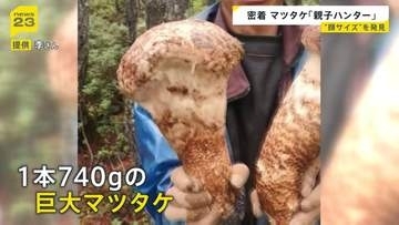 【秋の味覚の王様】中国の標高3000mで「巨大マツタケ」を発見…一攫千金を狙う“親子ハンター”に密着…父の背中追う息子は「マツタケ王になりたい」【news23】