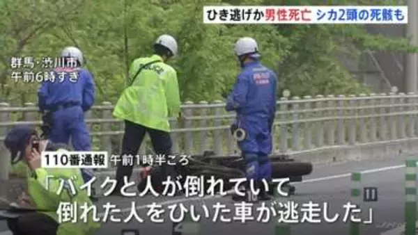 国道でひき逃げか　男性（61）死亡　近くには倒れたバイクとシカ2頭の死骸　群馬・渋川市