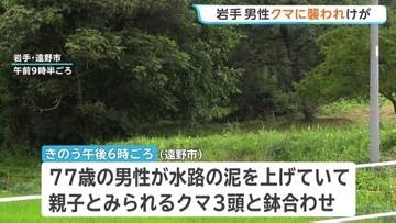 「クマに襲われた」田んぼ水路で作業中の男性（77）がクマ3頭と鉢合わせ　成獣とみられるクマに襲われけが　岩手・遠野市