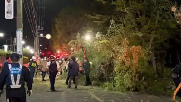 東京・世田谷区大蔵で倒木　砧公園前の道路をふさぐもけが人はなし　木の切断撤去作業進む　警視庁