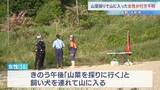 「「山菜を採りに行く」山に入った50代女性が行方不明　飼い犬も見つからず　長野・大町市」の画像1