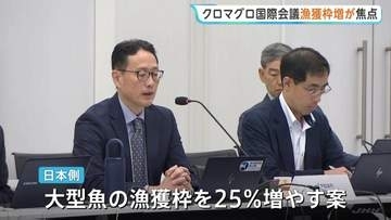 豊漁のクロマグロ “漁獲枠の拡大”は？　日本は“25％増”求める方針　短期間で上限、操業停止の地域も　新ルールなど話し合う国際会議