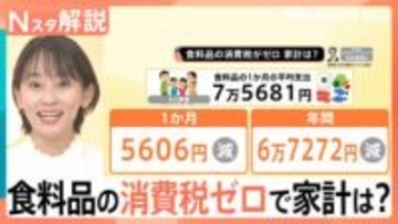 食料品「消費税ゼロ」4人家族で年間6万7272円減の試算、迫る選挙と「5兆円の減収」という厳しい現実【Nスタ解説】