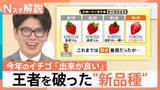 「王者vs新品種「日本一おいしいイチゴ」は…　失敗しないおいしいイチゴの見分け方【Nスタ解説】」の画像1