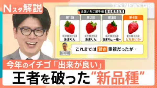 王者vs新品種「日本一おいしいイチゴ」は…　失敗しないおいしいイチゴの見分け方【Nスタ解説】