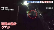夜の階段を駆け上がるのは…クマ？ 宇都宮市の中心部で相次ぐ目撃情報　6日は住宅街で体長1mほどのクマも　警察や猟友会など警戒続ける
