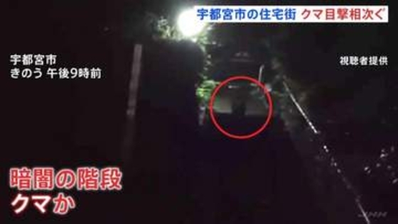 夜の階段を駆け上がるのは…クマ？ 宇都宮市の中心部で相次ぐ目撃情報　6日は住宅街で体長1mほどのクマも　警察や猟友会など警戒続ける
