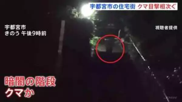 夜の階段を駆け上がるのは…クマ？ 宇都宮市の中心部で相次ぐ目撃情報　6日は住宅街で体長1mほどのクマも　警察や猟友会など警戒続ける