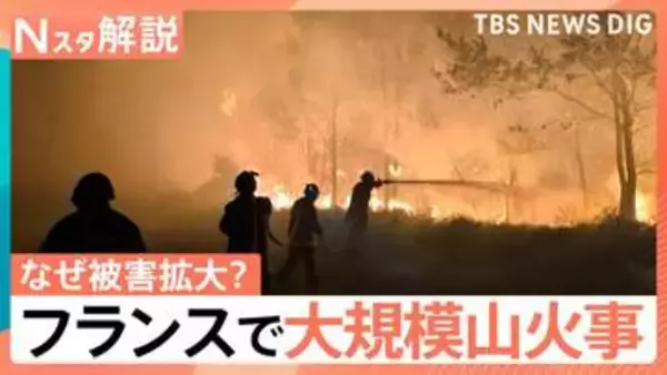 焼失面積は東京23区超え…フランスで猛威ふるう山火事　「高温×乾燥」が延焼の原因に？【Nスタ解説】