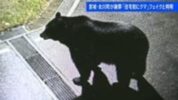 町の公式Xに投稿されたクマは…“フェイク” 投稿後に作成者本人から申し出　宮城･女川町は謝罪「混乱･不安与えお詫び」