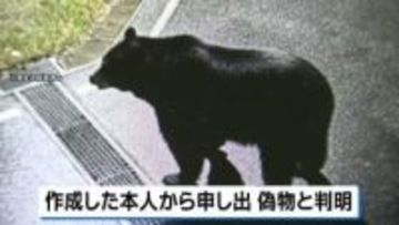 公式X投稿のクマ画像「生成AIの偽物」 作成者本人から申し出　宮城・女川町