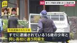 「【独自】新たに高校の同級生を緊急逮捕　69歳女性殺害の強盗殺人事件　逮捕現場近くには高級外車…「トクリュウ」による犯行も視野に捜査【記者中継】」の画像1