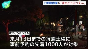 15年ぶり“パンダ不在”の上野動物園で「夜のどうぶつえん」　内容拡充し新たな魅力発信に注力　東京都