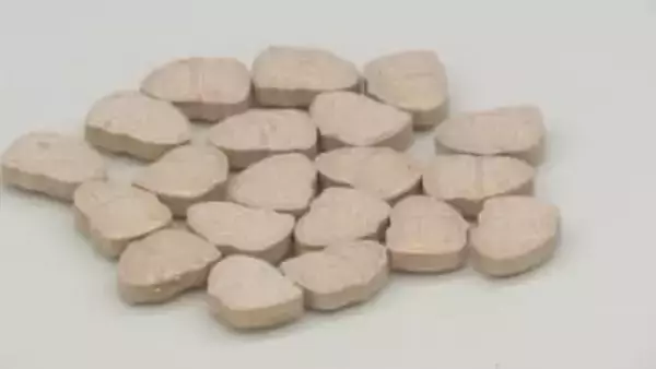 去年1年間の不正薬物押収量は2.7トン超えを記録　1985年の統計開始以降最高　航空機旅客からの押収量が前年比約2.5倍で急増　東京税関