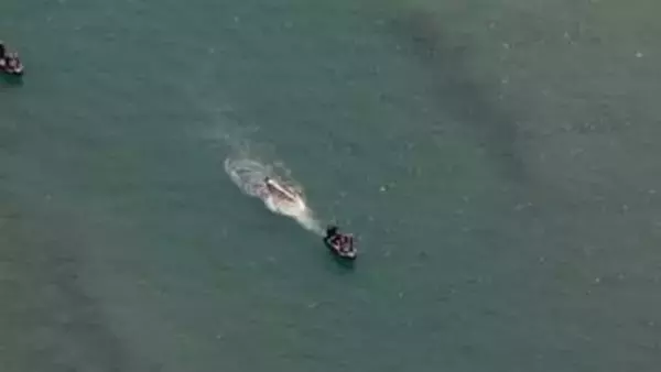 文科省　今月24日に学校法人同志社に職員派遣 聞き取り調査へ　沖縄・辺野古沖の船転覆事故めぐり