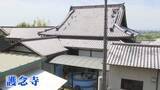 「熊本地震から2週間　寺が子どもたちの居場所支援 学童保育休止を受けプール開放」の画像1