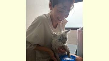 【 相武紗季 】「新しい家族が増えました」猫にシャンプー　2頭がくつろぐ姿も「みなさん、動物の家族はいますか？」
