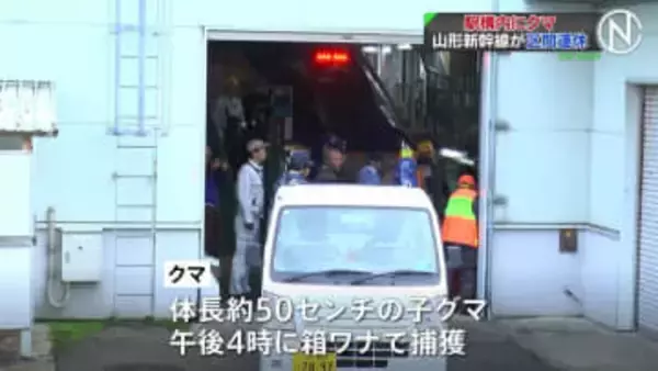 山形のJR新庄駅構内にクマ　車庫内に居座るも箱わなで捕獲　山形新幹線上り1本が区間運休し130人に影響