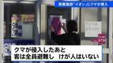 「秋田・能代市の商業施設「イオン」にクマが侵入、鹿角市では女性の遺体見つかる クマに襲われたか」の画像1