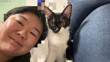 保護猫【 やす子 】〝60グラムの超未熟児〟ハチワレ猫を紹介　無事成長「もう2キロ近くあります！」