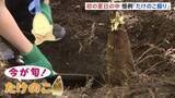 「「重い！重い！」毎年恒例のタケノコ掘り　親子42人が参加　東京・等々力渓谷」の画像1