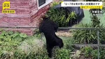 「6～7月は気が荒くなっている」進む“アーバンベア化”　石川・奈良・島根で人身被害　市街地に慣れたクマは行動に変化？【news23】