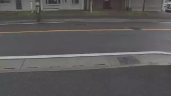 千葉・船橋市の重傷ひき逃げ　80歳の男逮捕「たぬきだと思った」と容疑否認　74歳男性はね、走り去った疑い