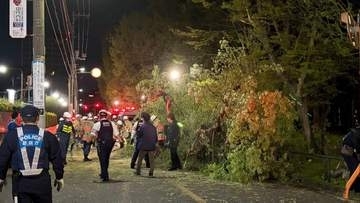東京・砧公園でまた倒木 同じ公園で今年すでに5本　約23mと約14mのコナラ2本が隣接する区道ふさぐ
