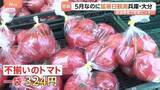 「今シーズン初の猛暑日・大分県日田市と兵庫県豊岡市で35.3℃！暑さ前倒しで野菜が悲鳴 キャベツが茶色に…　そんな中、お得な野菜の穴場を発見！「安い！大歓迎」」の画像1
