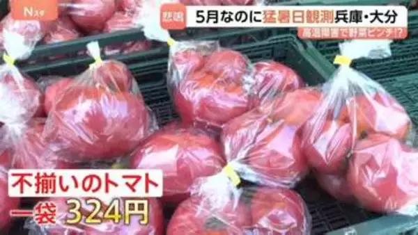 今シーズン初の猛暑日・大分県日田市と兵庫県豊岡市で35.3℃！暑さ前倒しで野菜が悲鳴 キャベツが茶色に…　そんな中、お得な野菜の穴場を発見！「安い！大歓迎」
